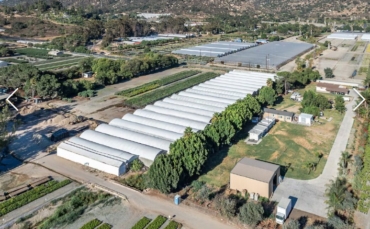 $400,000 1st DOT Purchase/Bridge Loan